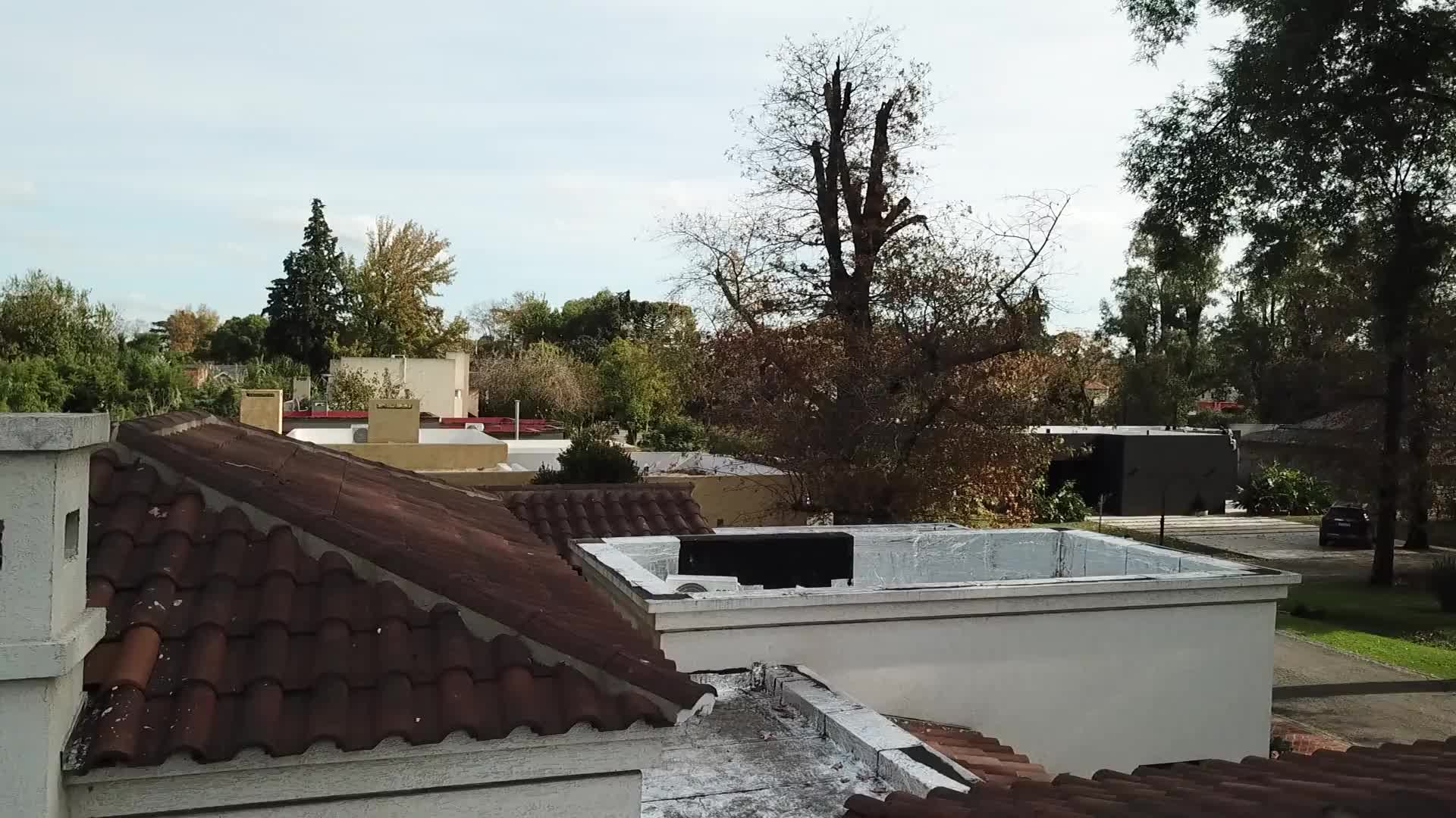 Video del proyecto