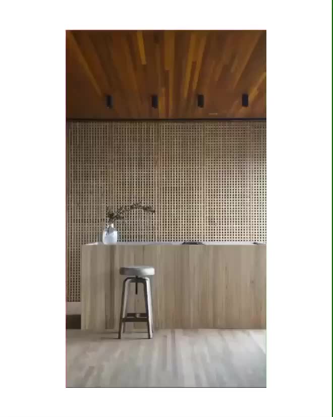 Video del proyecto