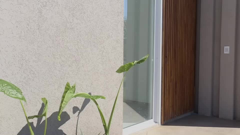 Video del proyecto