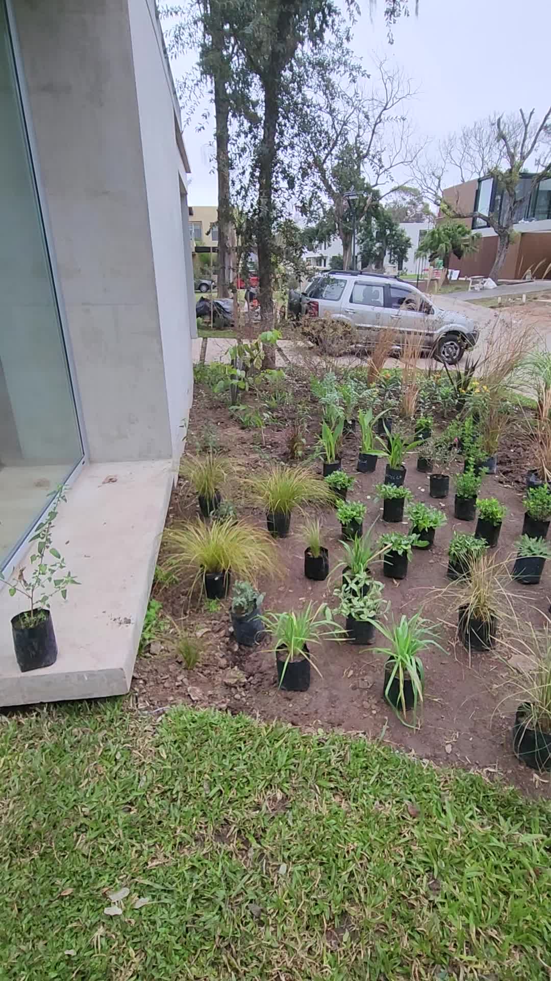 Video del proyecto