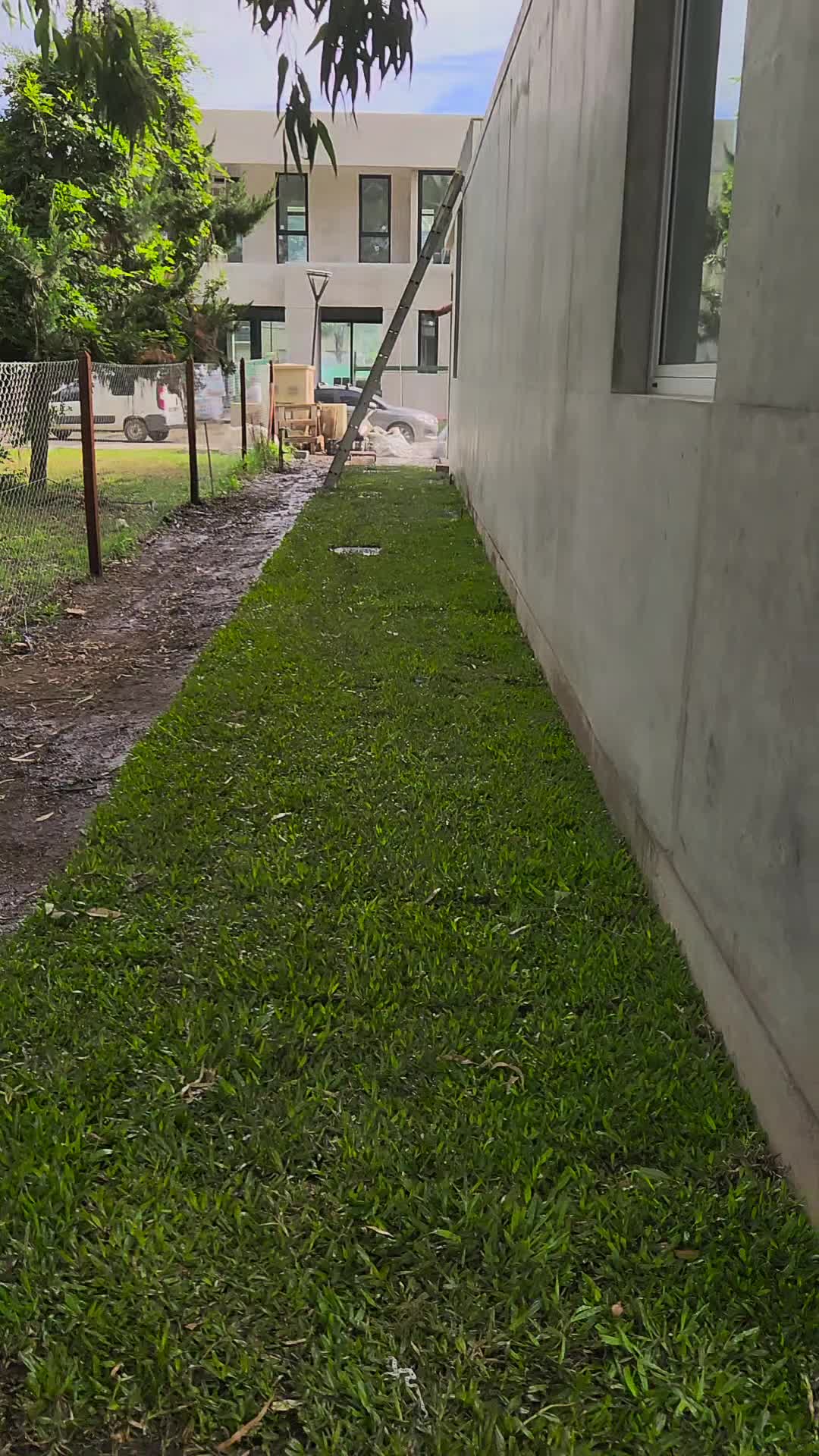 Video del proyecto