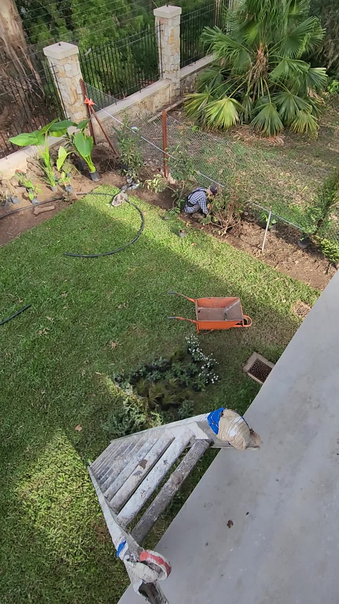 Video del proyecto