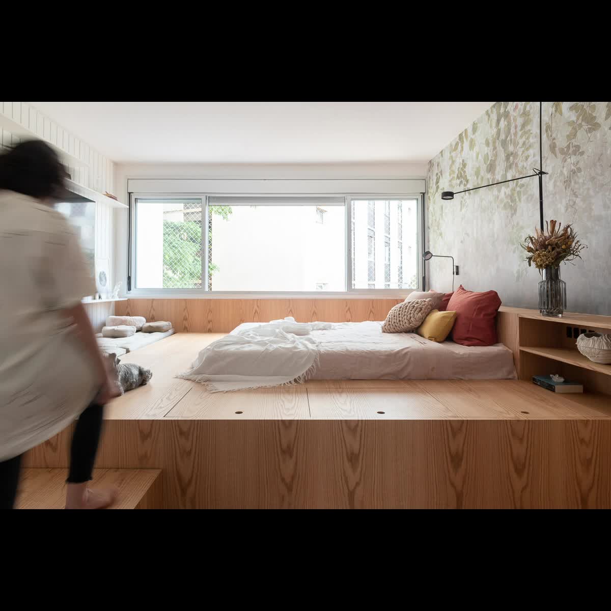 Video del proyecto