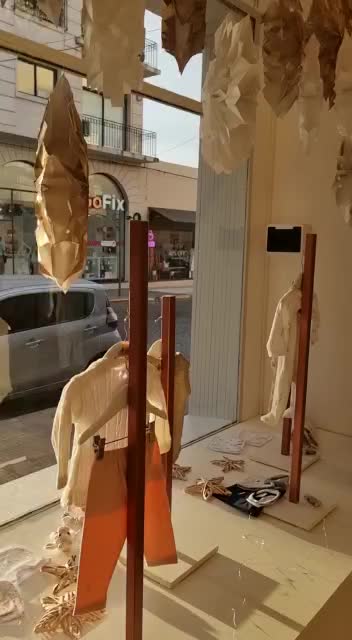 Video del proyecto