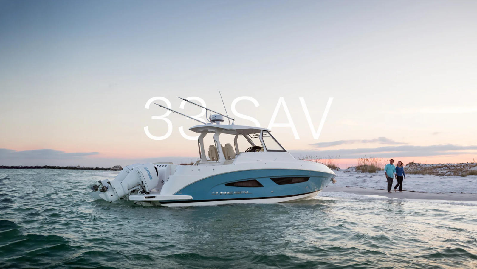 Model 33 SAV