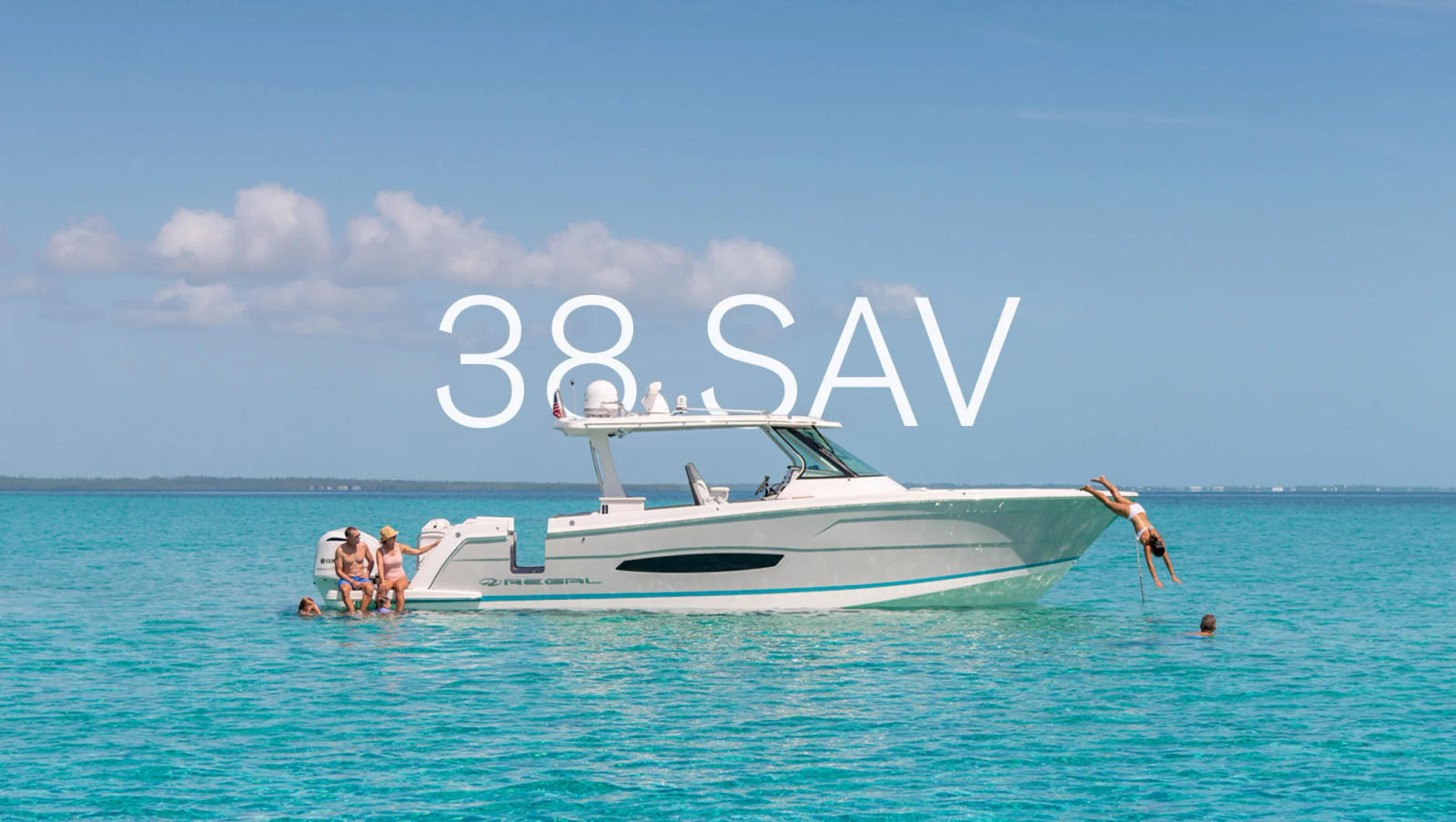 Model 38 SAV