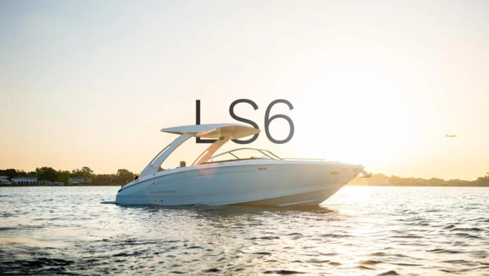 LS6