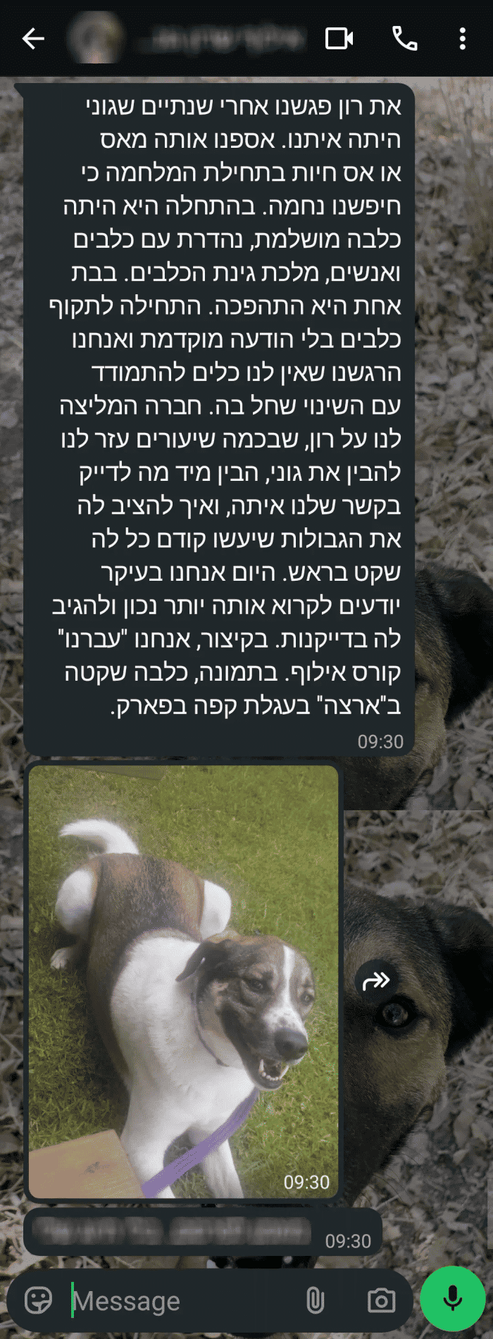 הודעת וואטסאפ מלקוח מרוצה