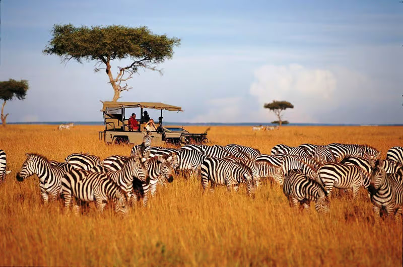 The Complete Guide to Day and Night Game Drives