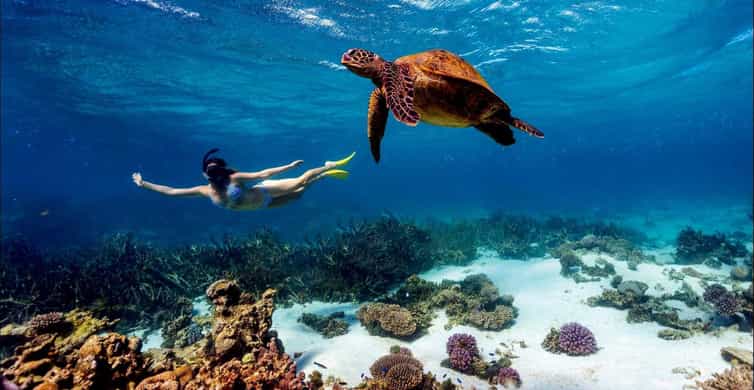 Traditional Snorkelling