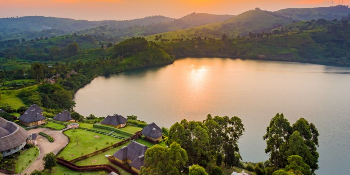 Exclusive Gorilla & Chimpanzee Safari