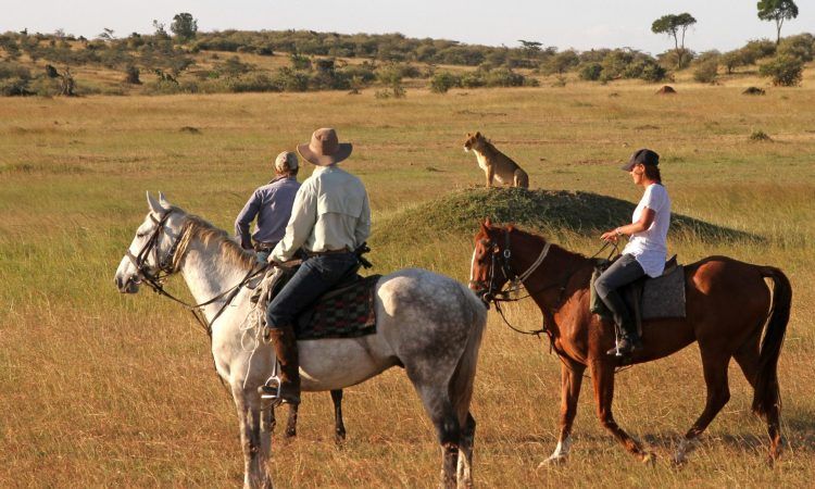 Gallop across the open savannahs of the Maasai Mara, guided by expert riding professionals.