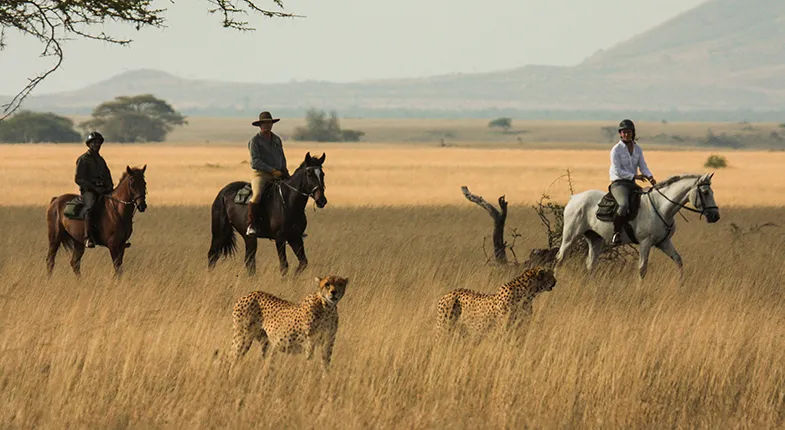 Discover the Magic of Africa on Horseback