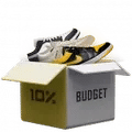 Budget 10% CASE case image
