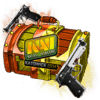 Dual case image
