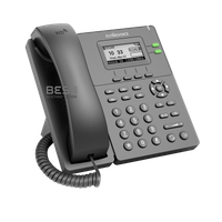 FlyingVoice P20