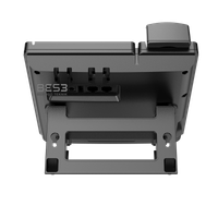 FlyingVoice P20