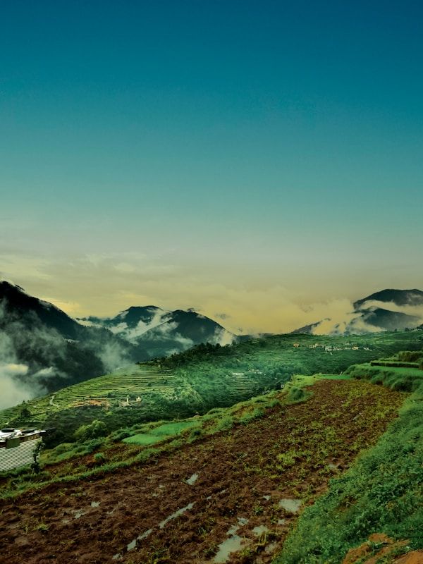 Wellness Retreat Experiences