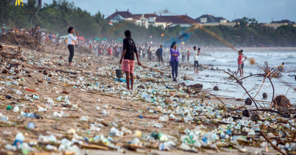 Plastic Soup: Purge the Plastic Scourge