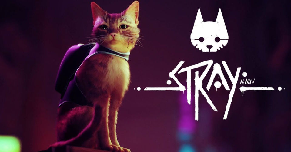 Review In Progress - Stray