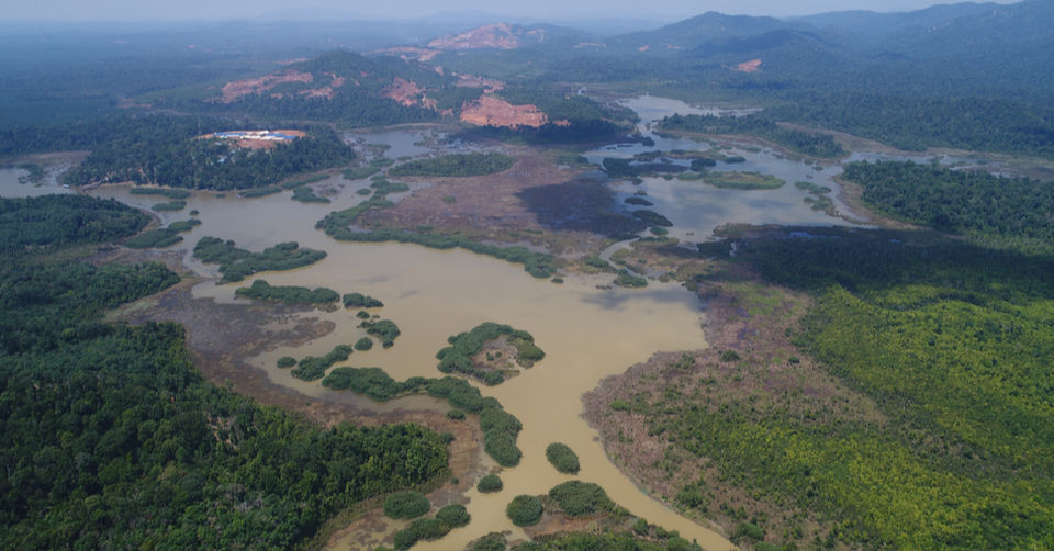 Is It Too Late To Rehabilitate Tasik Chini ?