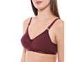 Perfect Coverage Bra-1517WI