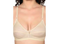 Bodycare Seamed, Non Padded Bra-1552S