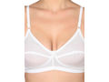 Bodycare Seamed, Non Padded Bra-1552W