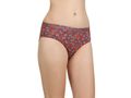 Pack of 3 Bodycare Premium Printed Cotton Briefs in Assorted colors