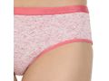 Pack of 3 Bikini Style Cotton Briefs in Assorted colors-27001