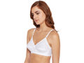 Perfect Coverage Bra-5502W