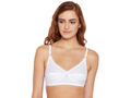 Perfect Coverage Bra-5504W