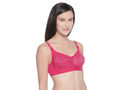 Perfect Coverage Bra in Lace-5511-RANI