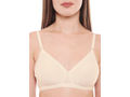 Seamless Cup Bra-5551S with free transparent strap