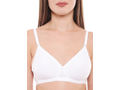 Seamless Cup Bra-5551W with free transparent strap