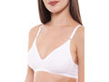 Seamless Cup Bra-5555W