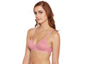 Perfect Coverage Bra-5559 Assorted