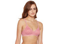 Perfect Coverage Bra-5559 Assorted