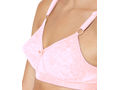 B-C-D Cup Bra-5586PI