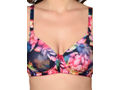 Bodycare Seamless, Printed Padded Bra-6551-3PCS