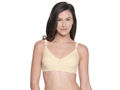 BCD Cup Perfect Coverage Bra - 6584-skin