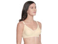 BCD Cup Perfect Coverage Bra - 6584-skin