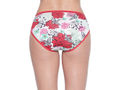 BODYCARE Pack of 3 Premium Printed Hipster Briefs in Assorted Color-6620