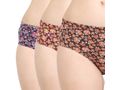 Pack of 3 Bodycare Cotton Briefs in Assorted colors