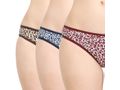 Pack of 3 Bodycare Cotton Bikini Style Panty in Assorted colors