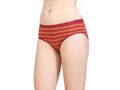 Pack of 3 Bodycare Premium Cotton Briefs in Assorted colors