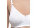 Perfect Coverage Bra-5565W