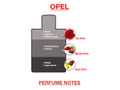 BodyX Unisex Perfume OPEL EDP 100 ML