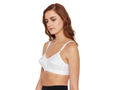 B-C-D Cup Bra-SH-ES-W with Elastic Straps