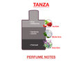 BodyX Unisex Perfume TANZA EDP 100 ML